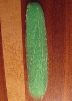 flash' n slynky  green